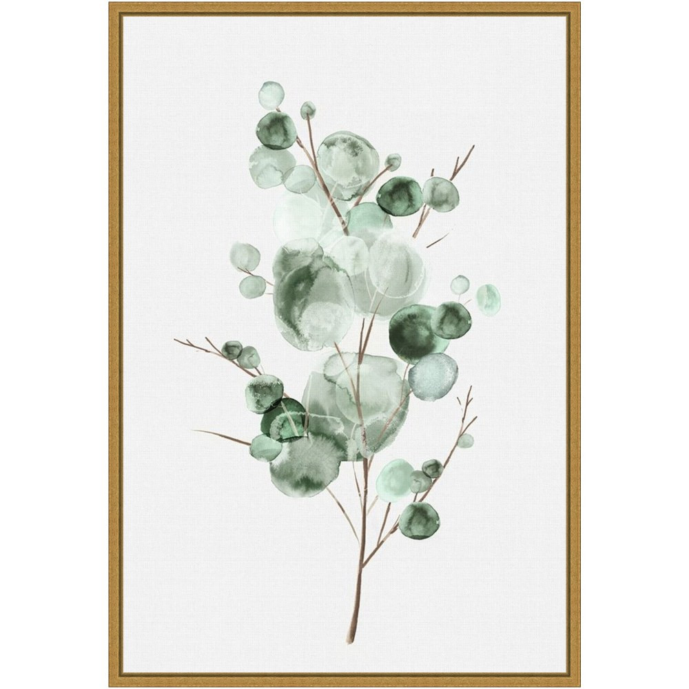 UNIEK INC. Amanti Art A42705040760  Tender Sprout I Eucalyptus by Eva Watts Framed Canvas Wall Art Print, 23inH x 16inW, Gold