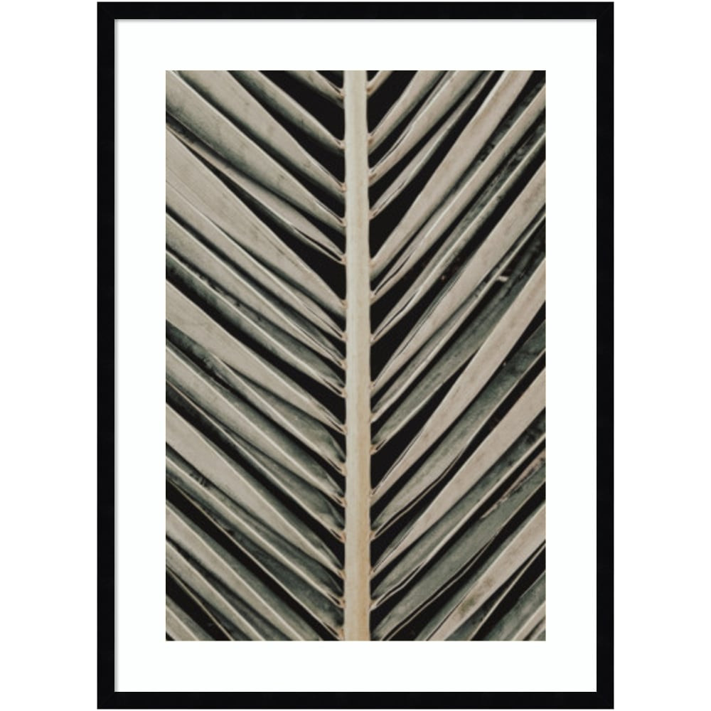 UNIEK INC. A42705528945 Amanti Art Palmblad 005 by 1x Studio III Wood Framed Wall Art Print, 24inW x 33inH, Black