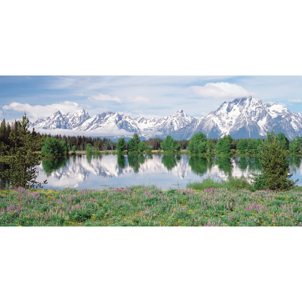 Biggies WM-MFW-54  Wall Mural, 27in x 54in, Mountain Flower