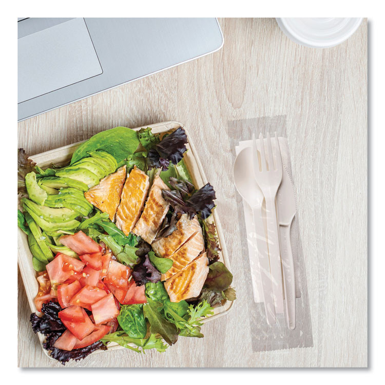 WNA, INC. EPS005 EcoSense Renewable PSM Wrapped Cutlery Kit, Fork/Knife/Napkin/Spoon, Plastic, White, 250/Carton