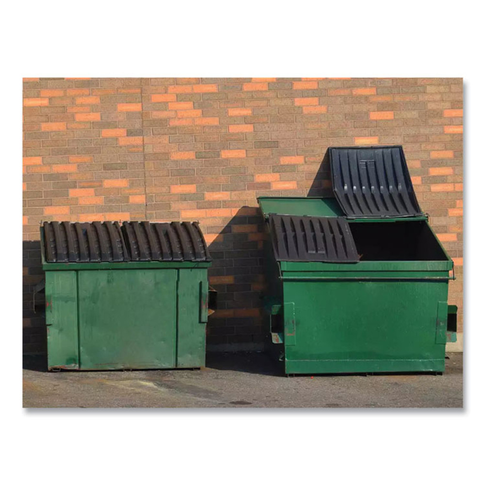 BETCO CORPORATION 26090400 Dumpster Treatment, Mango Scent, 1 gal Bottle, 4/Carton