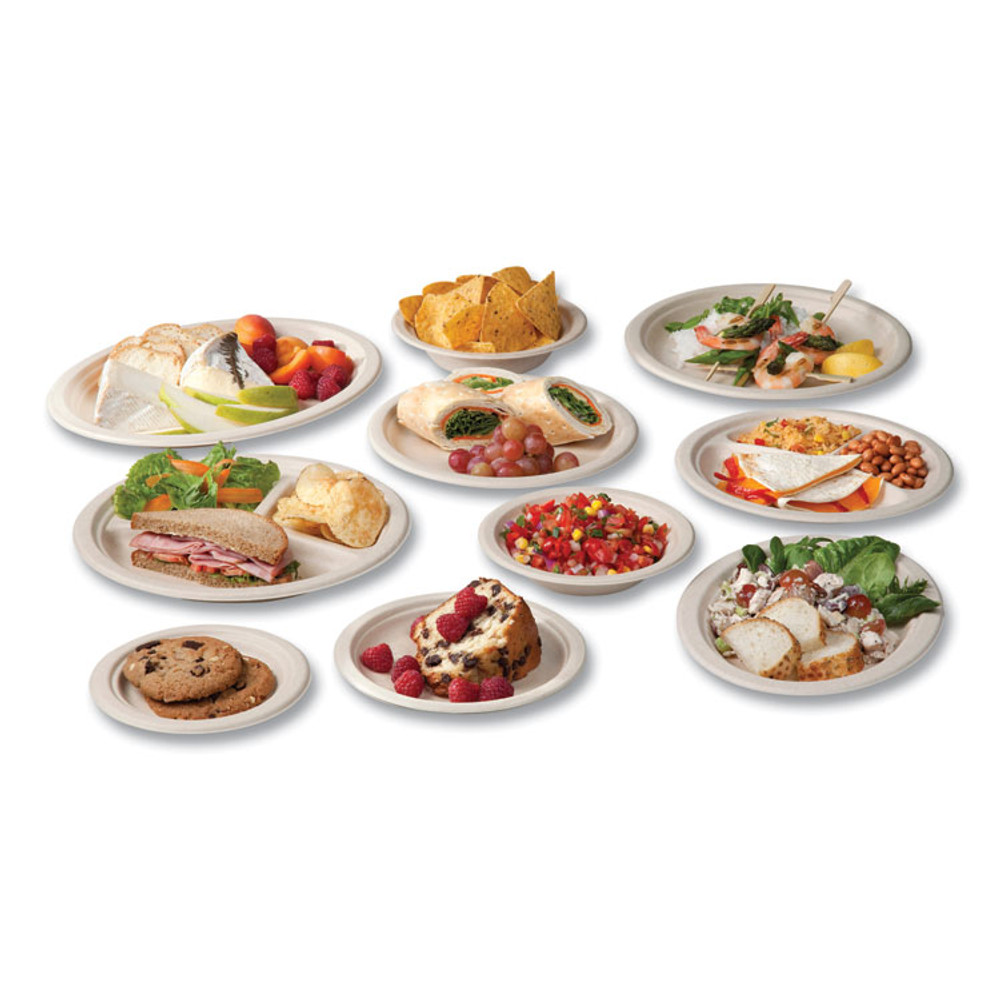 VEGWARE WHBRG710 Molded Fiber Tableware, Compostable, Platter, 7 x 10, White, 500/Carton