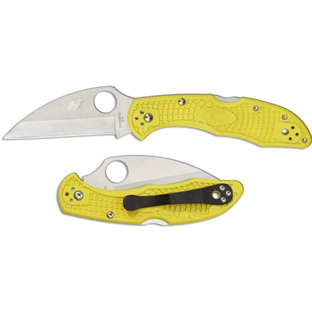 Spyderco C88PWCYL2 Salt 2
