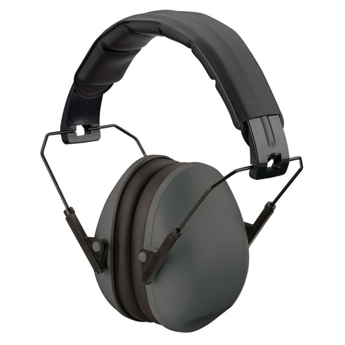 Champion Targets 40971 Champion Targets 40971 Slim Fit Passive Earmuffs, 21dB Noise Reduction Rating, Black