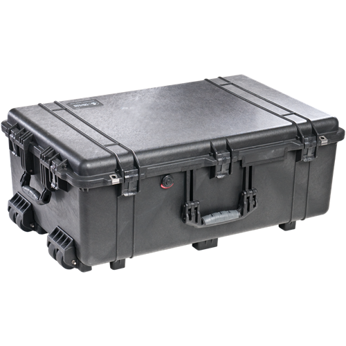 Pelican Products 1650-021-110 1650 Protector Case