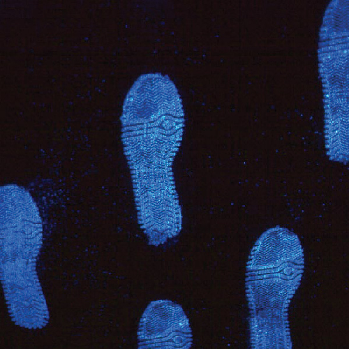 Lightning Powder 1005784 Lightning Luminol