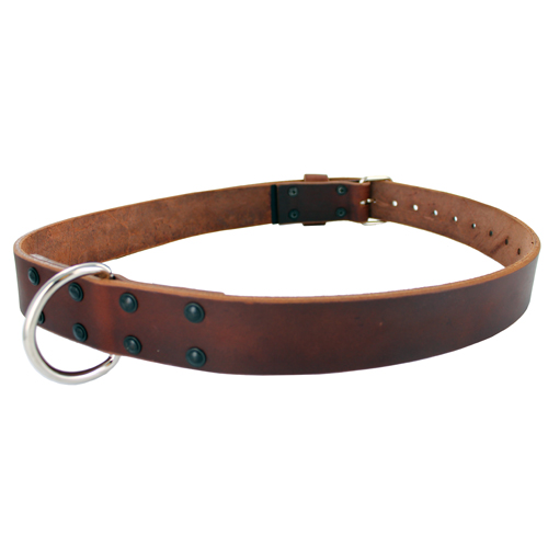 Gould & Goodrich 189 Restraining Belt