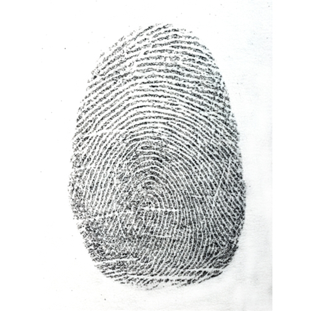 Sirchie DNA101L DNA Free Silk Black Latent Finger Print Powder 1 oz