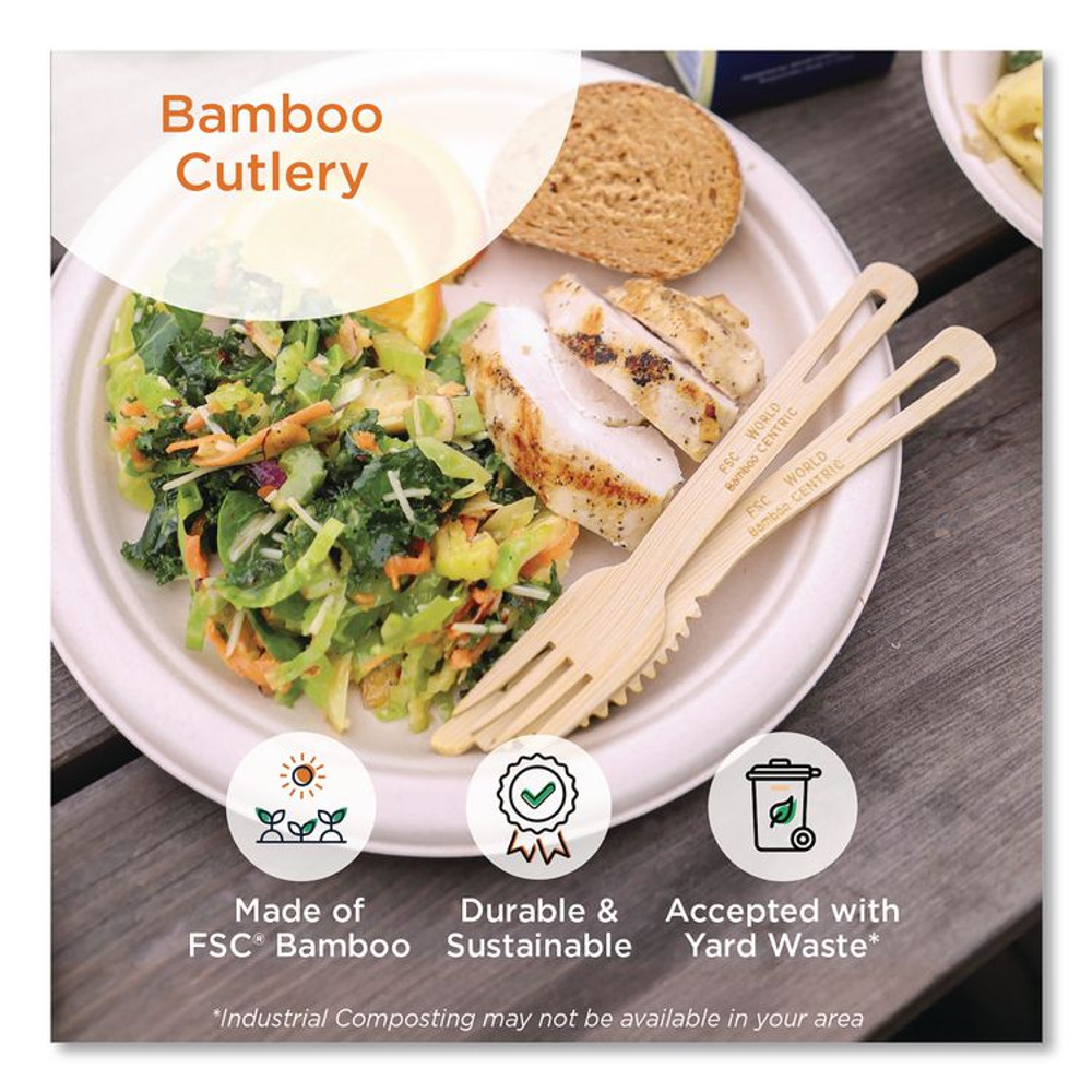 WORLD CENTRIC SPBB67 Bamboo Cutlery, Spoon, Paper, Natural, 2,000/Carton