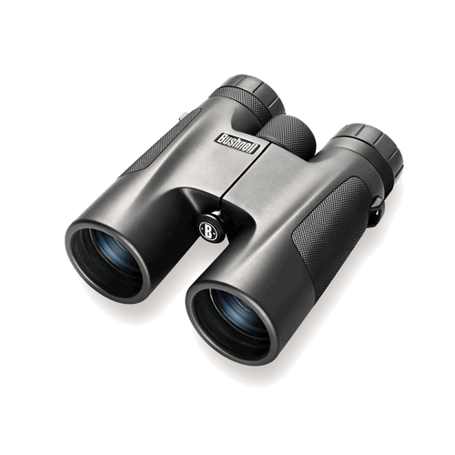 Bushnell 141042 Powerview Roof Prism Binoculars