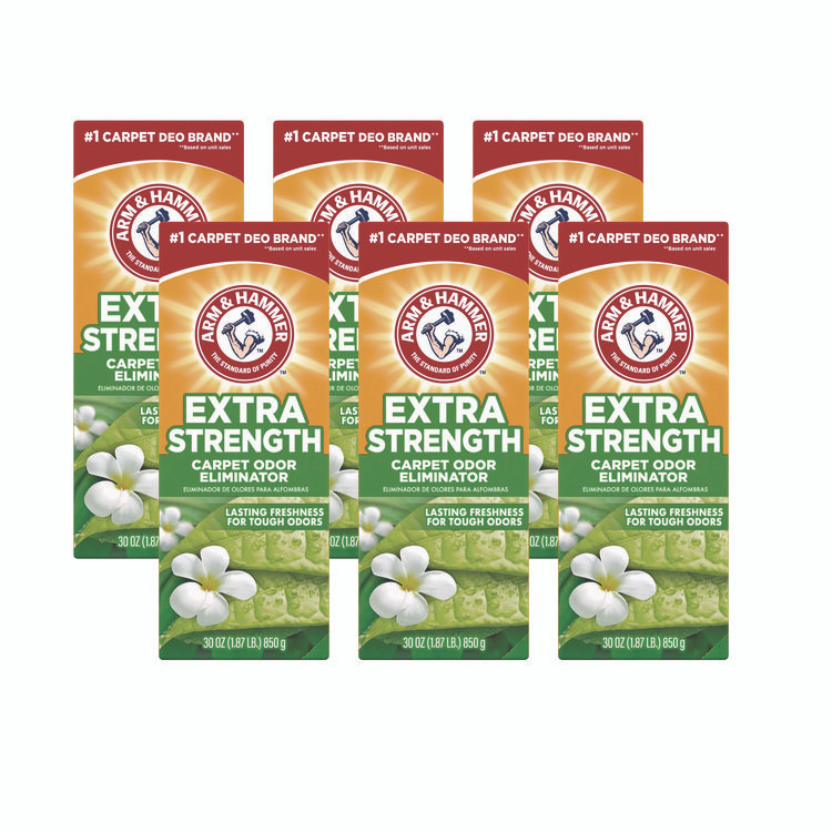 CHURCH & DWIGHT CO., INC Arm Hammer™ 33200-11538 Deodorizing Carpet Cleaning Powder, Fresh, 30 oz Box, 6/Carton