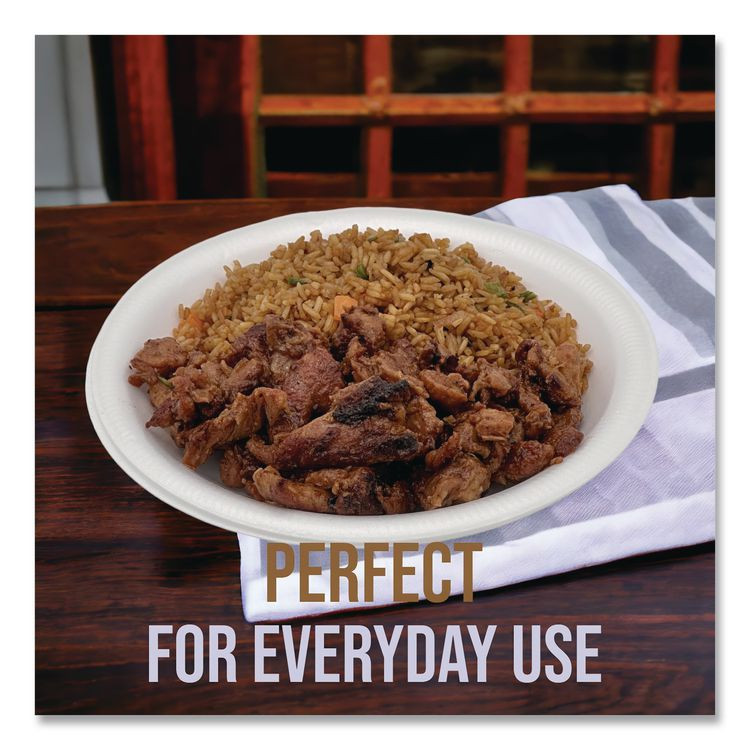 PLASTIFAR SA 12003 Foam Dinnerware, Plate, 9", White, 25/Pack, 20 Packs/Carton