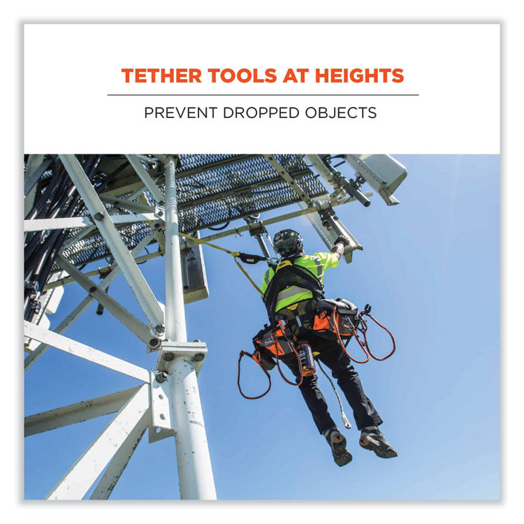 TENACIOUS HOLDINGS, INC. ergodyne® 19802 Squids 3100F(x) Tool Lanyard with Aluminum Carabiner + Loop, 10 lb Max Working Capacity, 38" to 48" Long, Orange/Gray