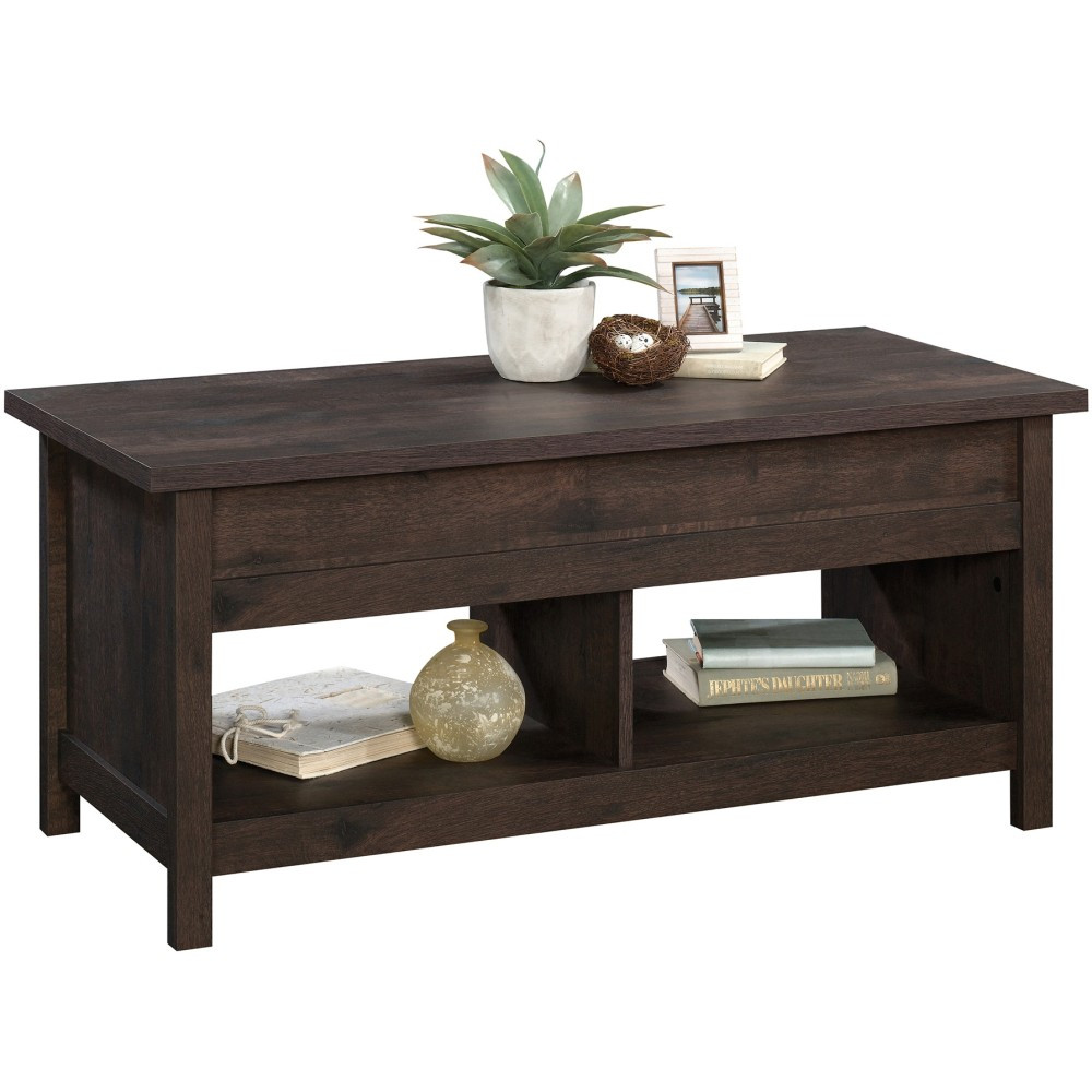 SAUDER WOODWORKING CO. Sauder 426151  Cannery Bridge Lift-Top Coffee Table, 19inH x 43inW x 19inD, Coffee Oak