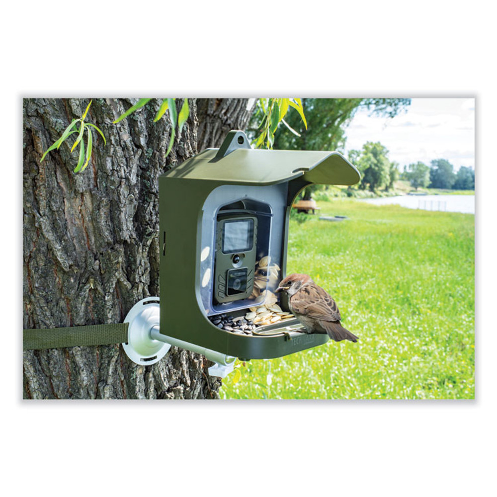 TECHNAXX DEUTSCHLAND GMBH 4923 Full HD Birdcam TX-165, 8 Mpixels, Black/Green
