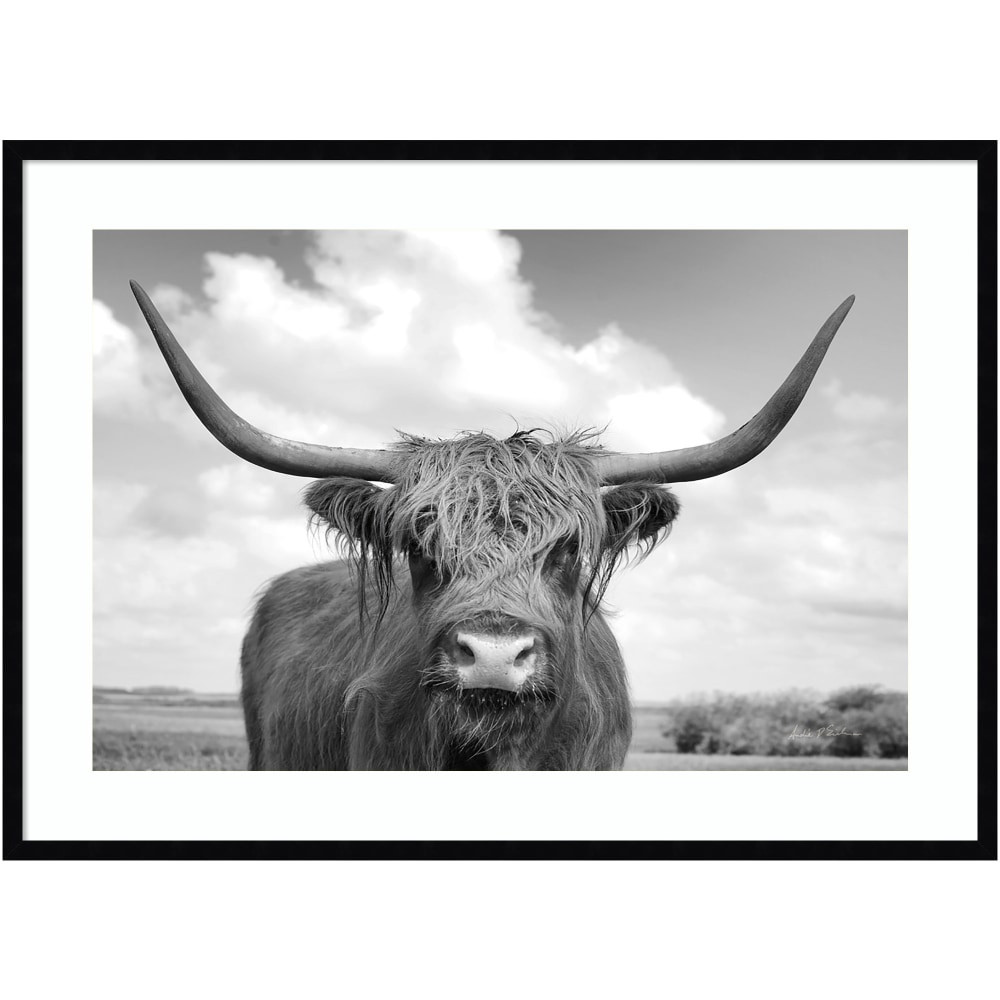 UNIEK INC. A42705460009 Amanti Art Highland Cow On the Ranch by Andre Eichman Wood Framed Wall Art Print, 30inH x 41inW, Black