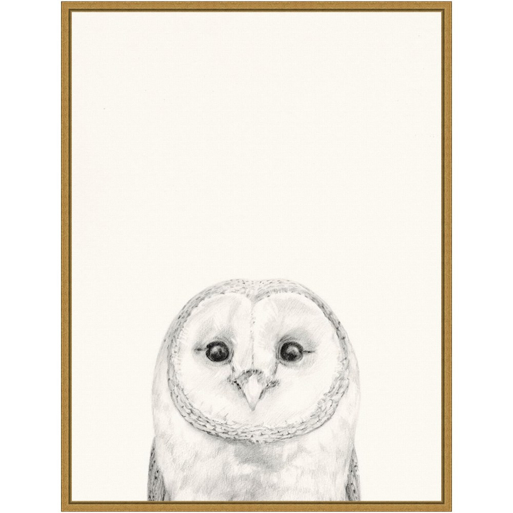 UNIEK INC. Amanti Art A42705040725  Animal Mug III Owl by Victoria Borges Framed Canvas Wall Art Print, 24inH x 18inW, Gold