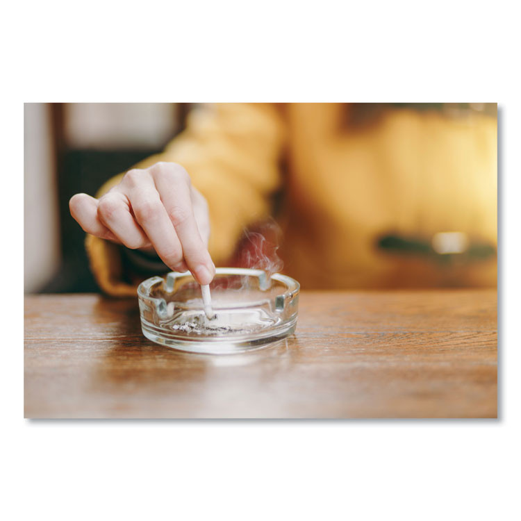 ZEP INC. Commercial® ZUSOE16CT Smoke Odor Eliminator, Fresh, 16 oz, 12/Carton