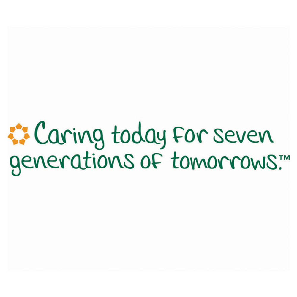 SEVENTH GENERATION 13731CT 100% Recycled Paper Kitchen Towel Rolls, 2-Ply, 11 x 5.4, 140 Sheets/Roll, 24 Rolls/Carton
