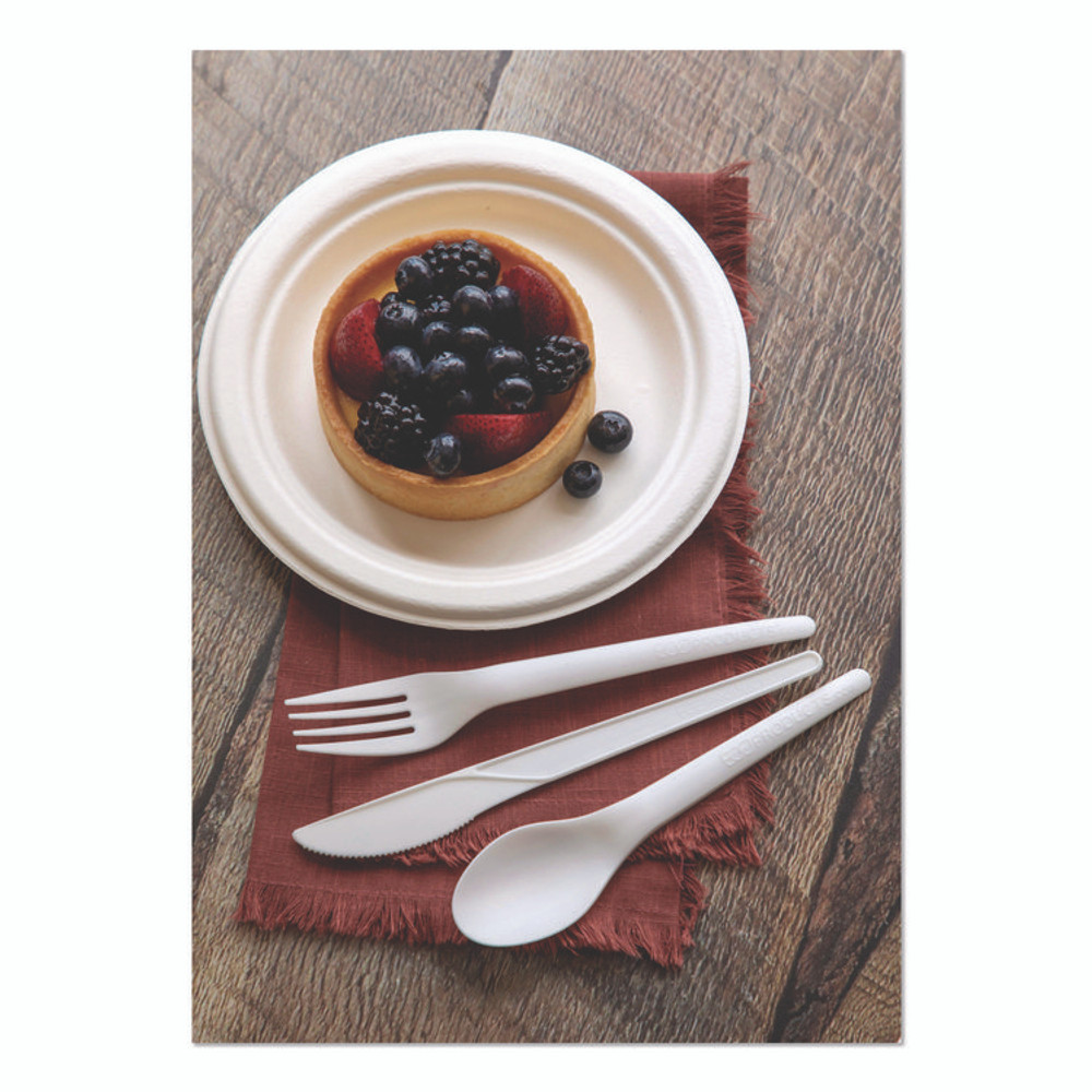 ECO-PRODUCTS,INC. EP-S013 Plantware Compostable Cutlery, Spoon, Plastic, Pearl White, 50/Pack, 20 Pack/Carton
