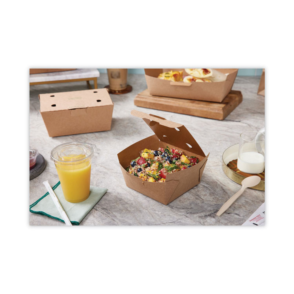 PACTIV EVERGREEN CORPORATION YPSMSTEC EarthChoice PSM Cutlery, Heavyweight Spoon, Plastic, Tan, 1,000/Carton