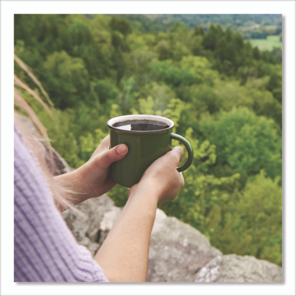 KEURIG DR PEPPER Green Mountain Coffee® 4432 Breakfast Blend Coffee Fraction Packs, 2.2 oz, 100/Carton