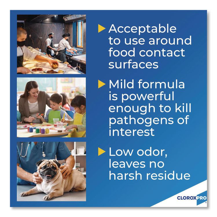 CLOROX SALES CO. 01698 CloroxPro Anywhere Daily Disinfectant and Sanitizer, Unscented, 32 oz Spray Bottle