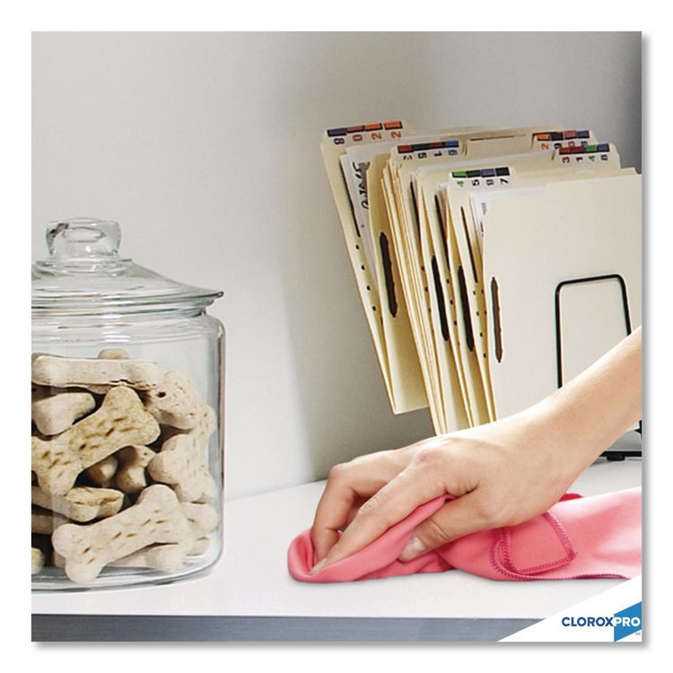 CLOROX SALES CO. 01698 CloroxPro Anywhere Daily Disinfectant and Sanitizer, Unscented, 32 oz Spray Bottle