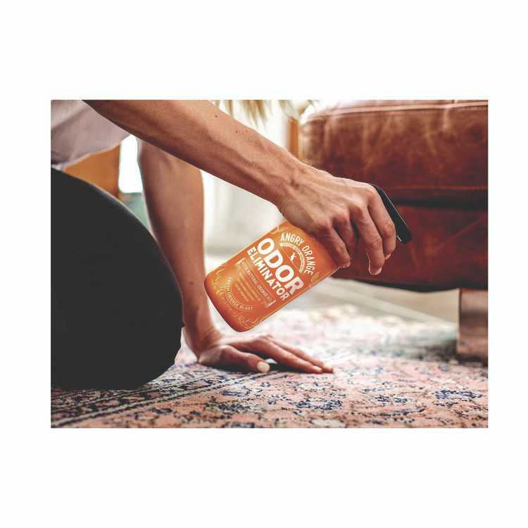 THRASIO Angry Orange AOR20OZ Pet Odor Eliminator Spray, Fresh Orange Blast Scent, 20 oz Spray Bottle