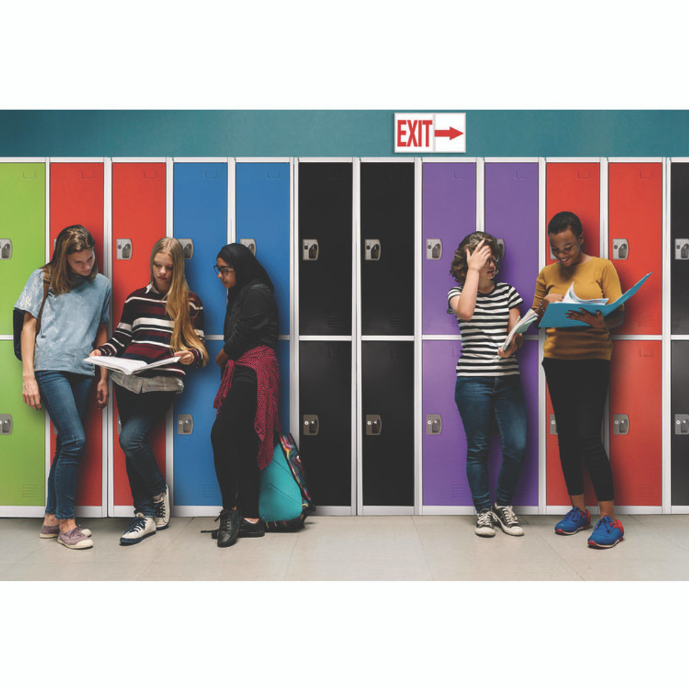 ADIROFFICE I629202GRN Steel Storage Locker, 2 Compartment, 12 x 12 x 72, Green