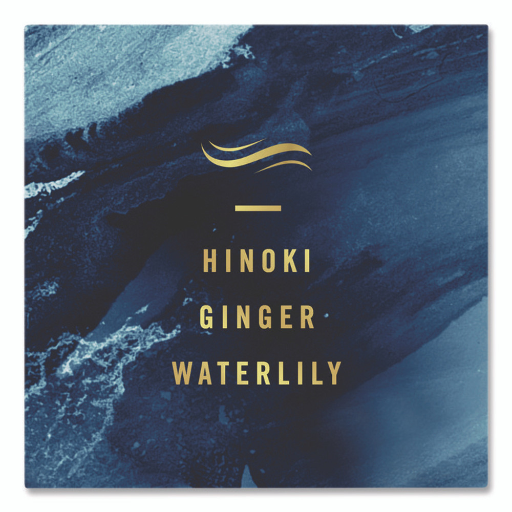 PROCTER & GAMBLE Febreze® 48312PK AIR, Ocean, 8.8 oz Aerosol Spray, 2/Pack