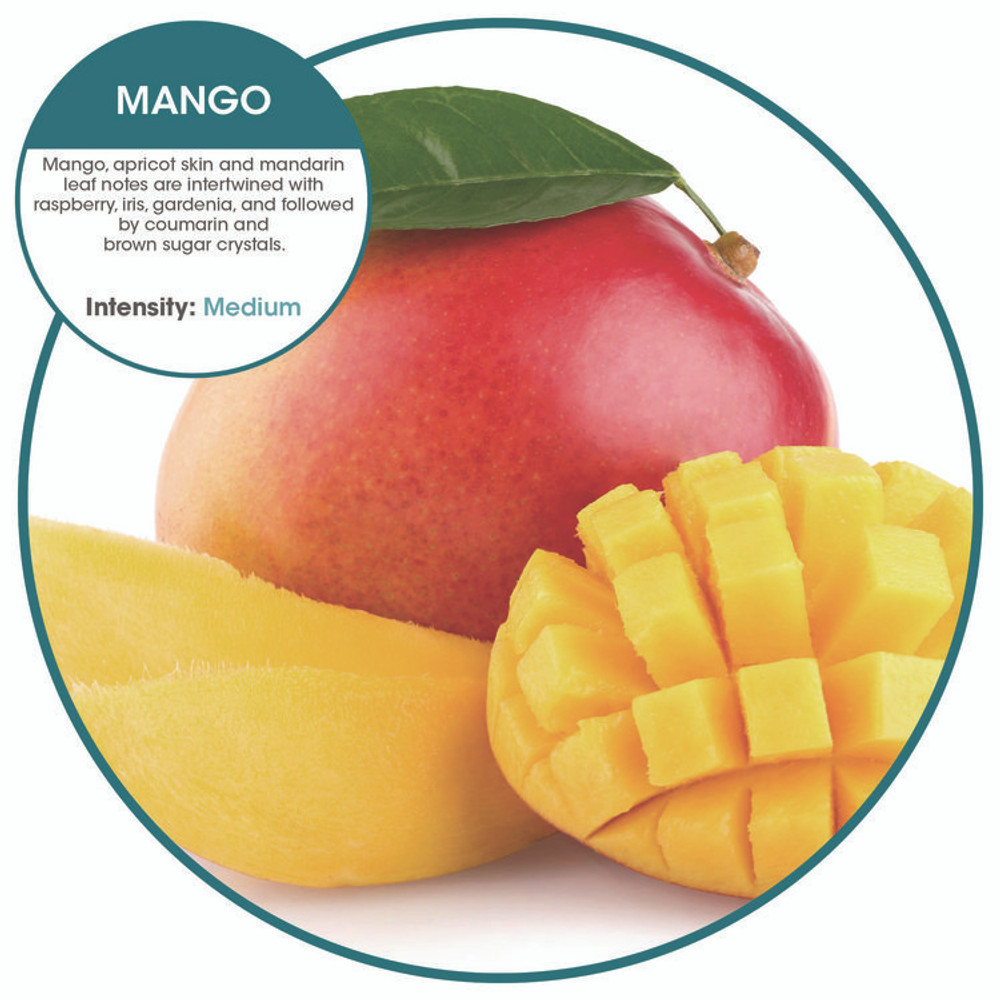 FRESH PRODUCTS OFB48MGBX ourfresh Airfreshener, Mango, 8/Box