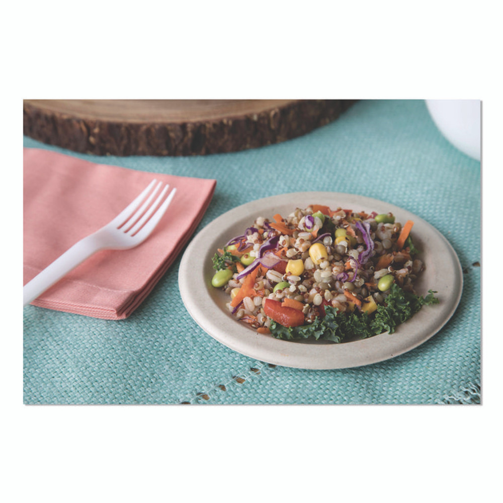 ECO-PRODUCTS,INC. EPS017 Plantware CPLA Cutlery, Fork, White, 1,000/Carton