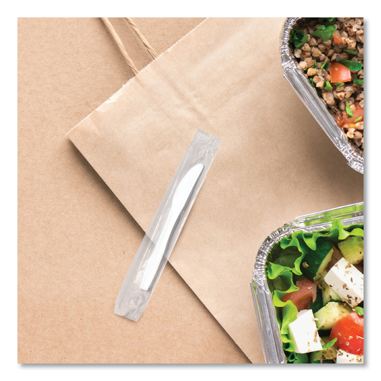 DART SOLO® MOW20007 Regal Mediumweight Cutlery, Individually Wrapped, Knife, Plastic, White, 1,000/Carton