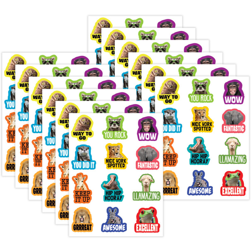 TEACHER CREATED RESOURCES Teacher Created Resources® Go Wild Animals Stickers, 72 Per Pack, 12 Packs