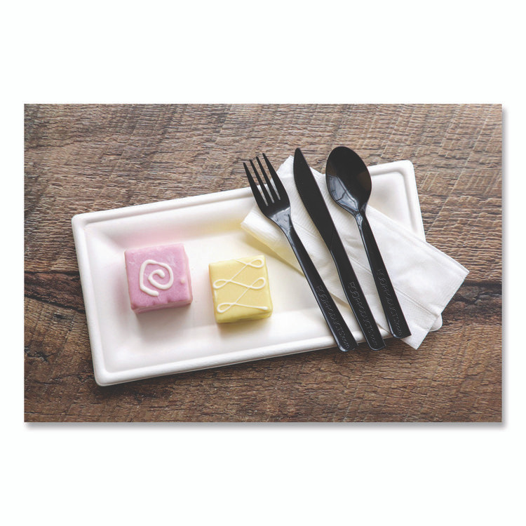 ECO-PRODUCTS,INC. EP-S113 100% Recycled Content Cutlery, Spoon, Plastic, Black, 50/Pack, 20 Pack/Carton