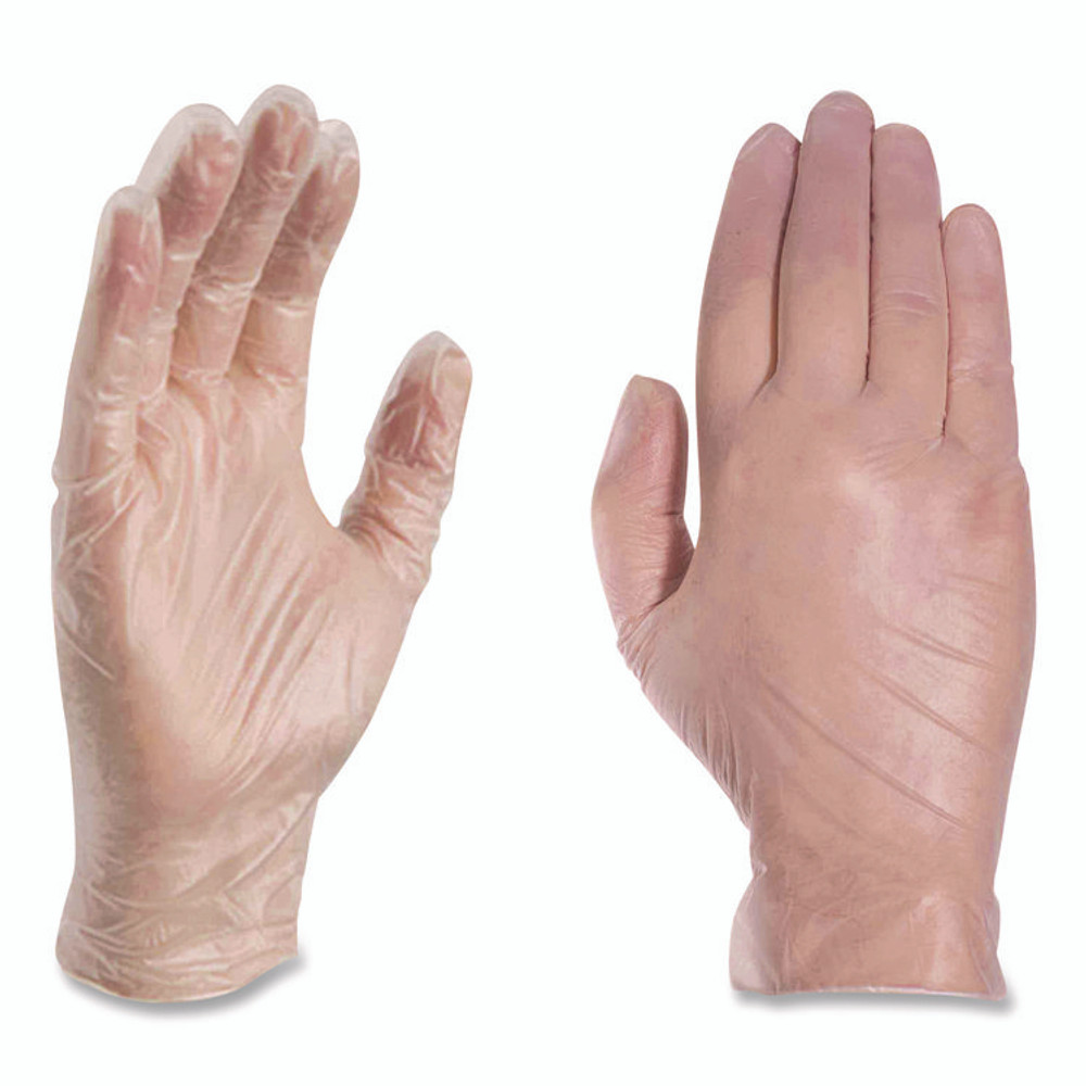 AMMEX CORPORATION Professional VPF66100 Vinyl Exam Gloves, Powder-Free, Large, Clear, 100/Box