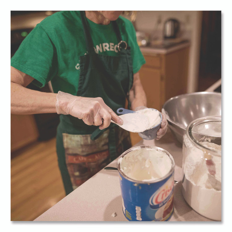 AMMEX CORPORATION Professional VPF66100 Vinyl Exam Gloves, Powder-Free, Large, Clear, 100/Box