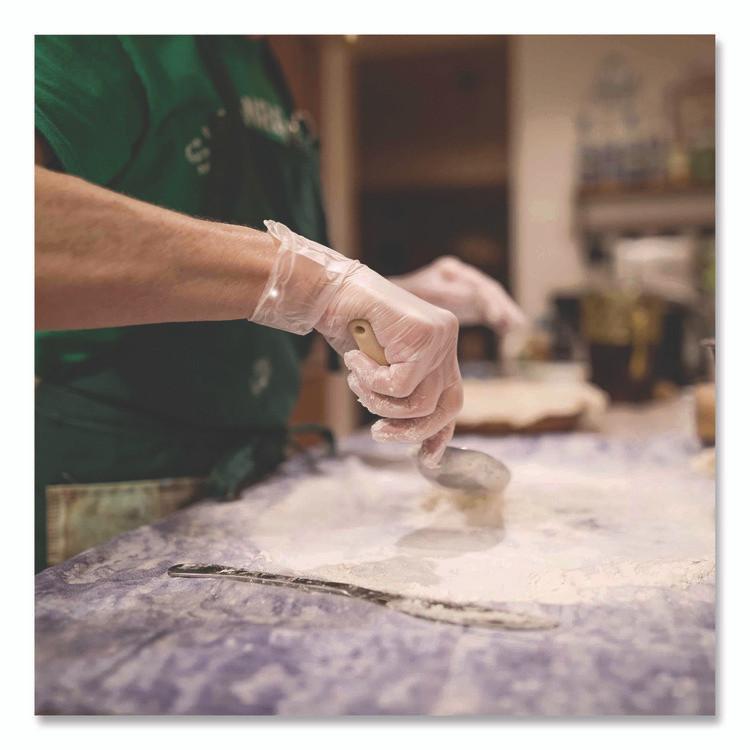 AMMEX CORPORATION Professional VPF66100 Vinyl Exam Gloves, Powder-Free, Large, Clear, 100/Box