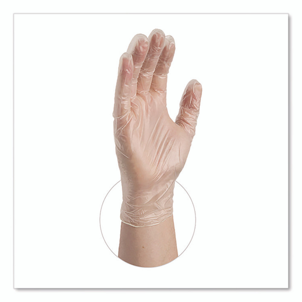 AMMEX CORPORATION Professional VPF66100 Vinyl Exam Gloves, Powder-Free, Large, Clear, 100/Box