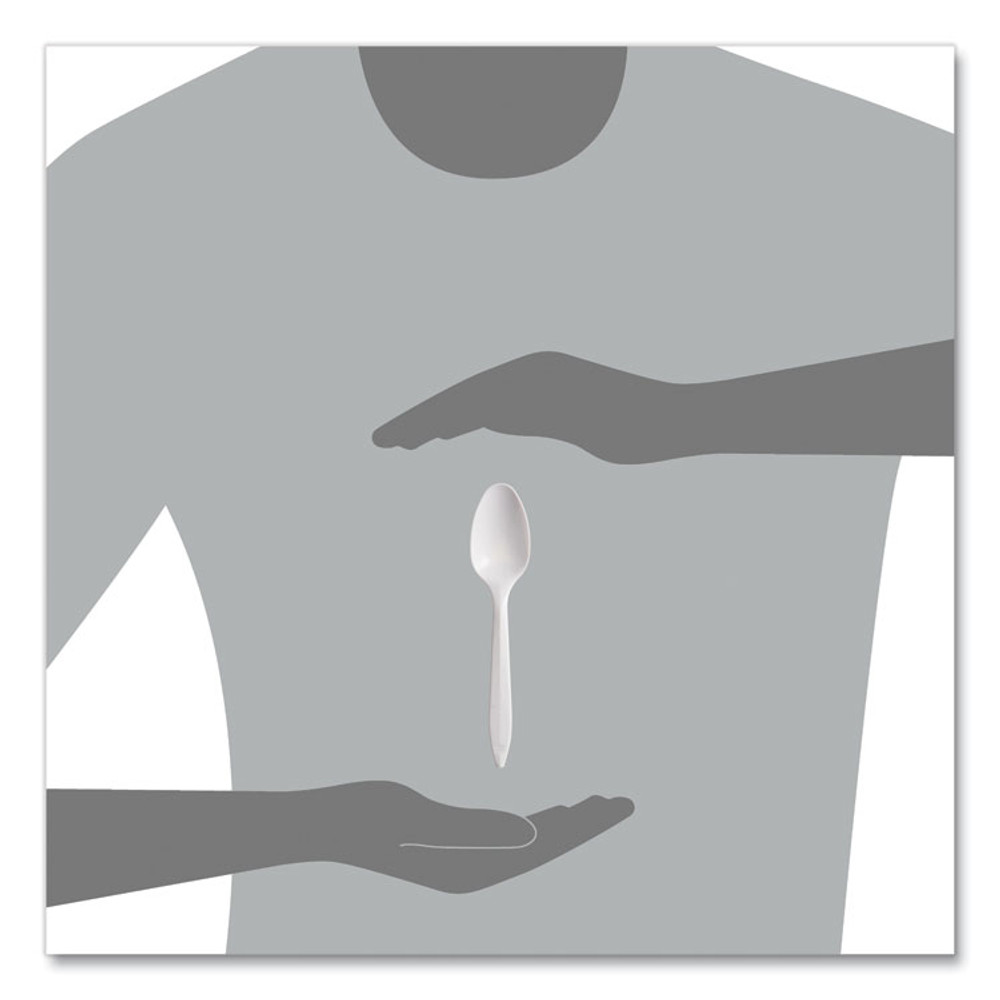 DART SOLO® S6SW Regal Mediumweight Cutlery, Full-Size, Teaspoon, White, 1000/Carton