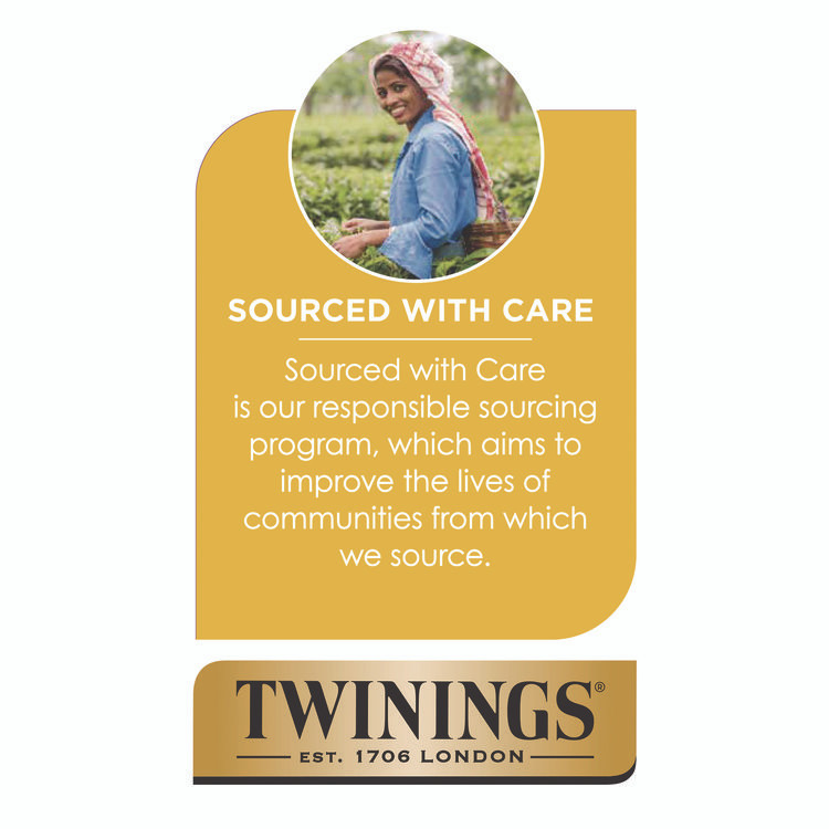 TWININGS NORTH AMERICA INC TNA23050 Probiotics+ Herbal Lemon and Ginger Tea, 24/Box