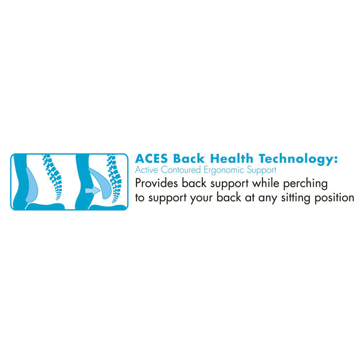 LF PRODUCTS PTE LTD SertaPedic® 48967A Cosset Ergonomic Task Chair, Supports Up to 275 lb, 19.5" to 22.5" Seat Height, Black