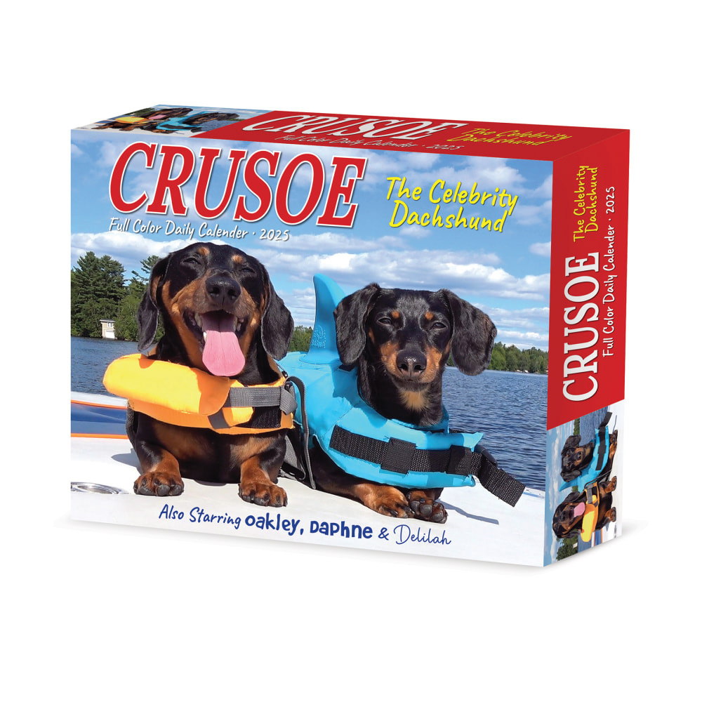 WILLOW CREEK PRESS 40768 2025 Willow Creek Press Daily Desk Box Calendar, 5-1/2in x 6-1/4in, Crusoe the Celebrity Dachshund, January to December 2025, 40768
