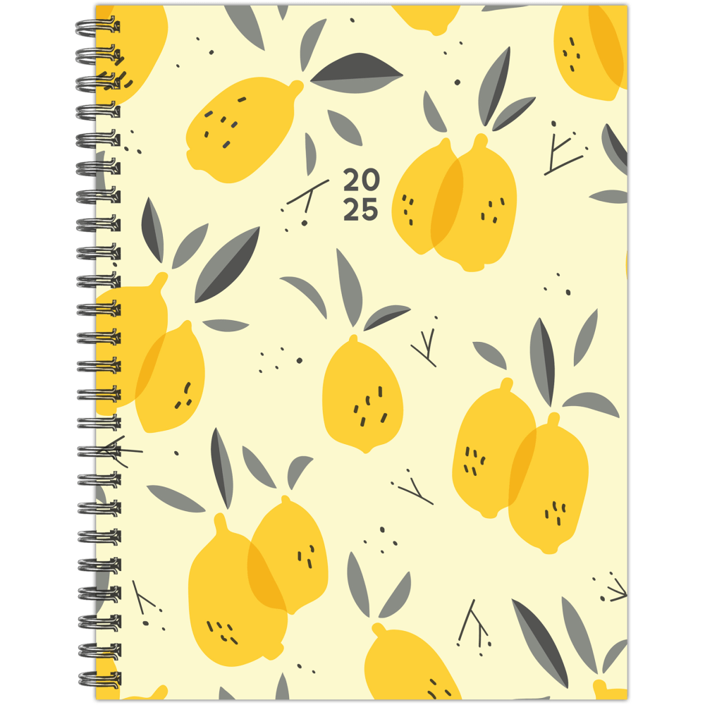 WILLOW CREEK PRESS 48672  Softcover Weekly/Monthly Planner, 6-1/2in x 8-1/2in, Citrus Grove, January To December, 48672