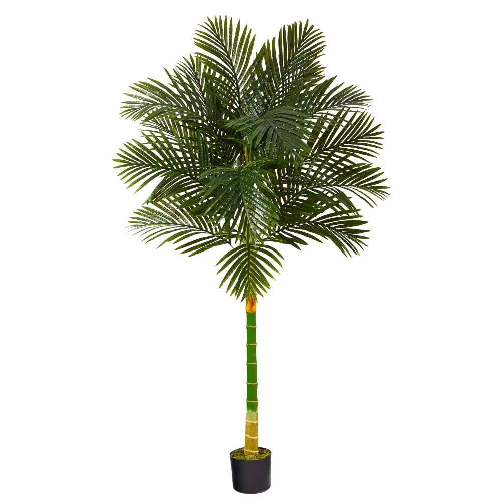 NEARLY NATURAL INC. T1839 Nearly Natural Golden Cane Palm 72inH Artificial Plant With Planter, 72inH x 22inW x 22inD, Green/Black