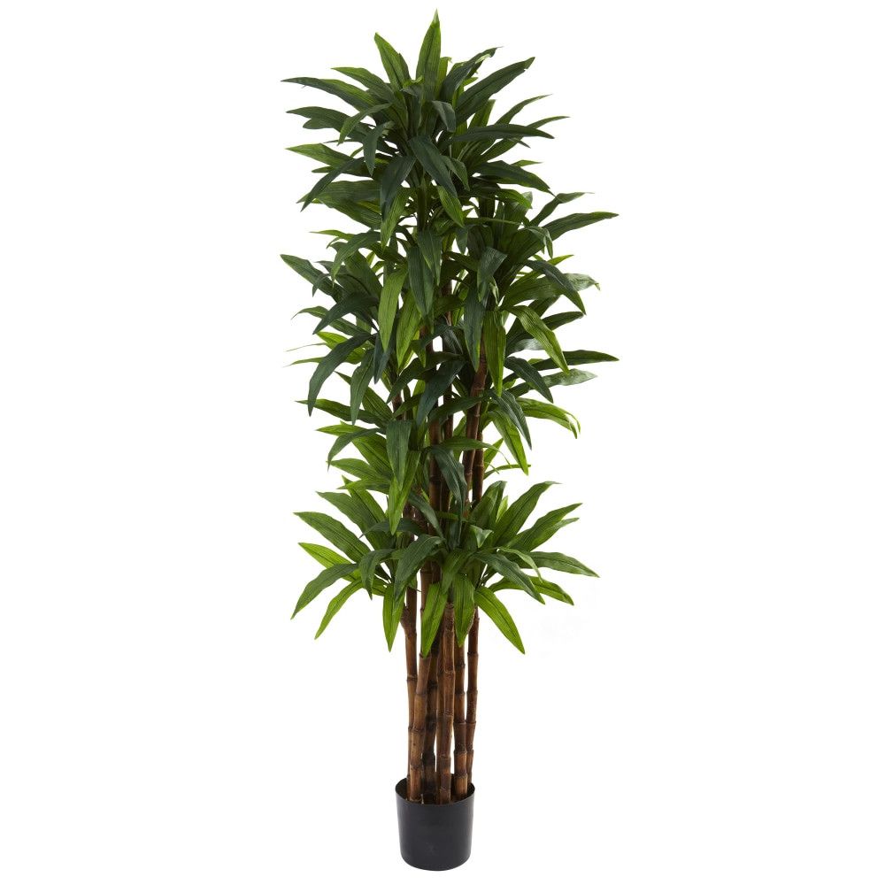 NEARLY NATURAL INC. 5403 Nearly Natural Dracaena 78inH Plastic Tree With Pot, 78inH x 30inW x 30inD, Green