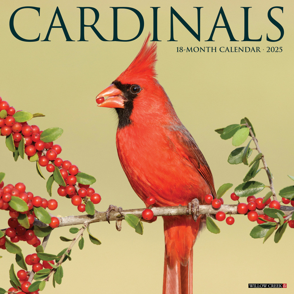 WILLOW CREEK PRESS 42151 2025 Willow Creek Press Animals Monthly Wall Calendar, 12in x 12in, Cardinals, January To December, 42151