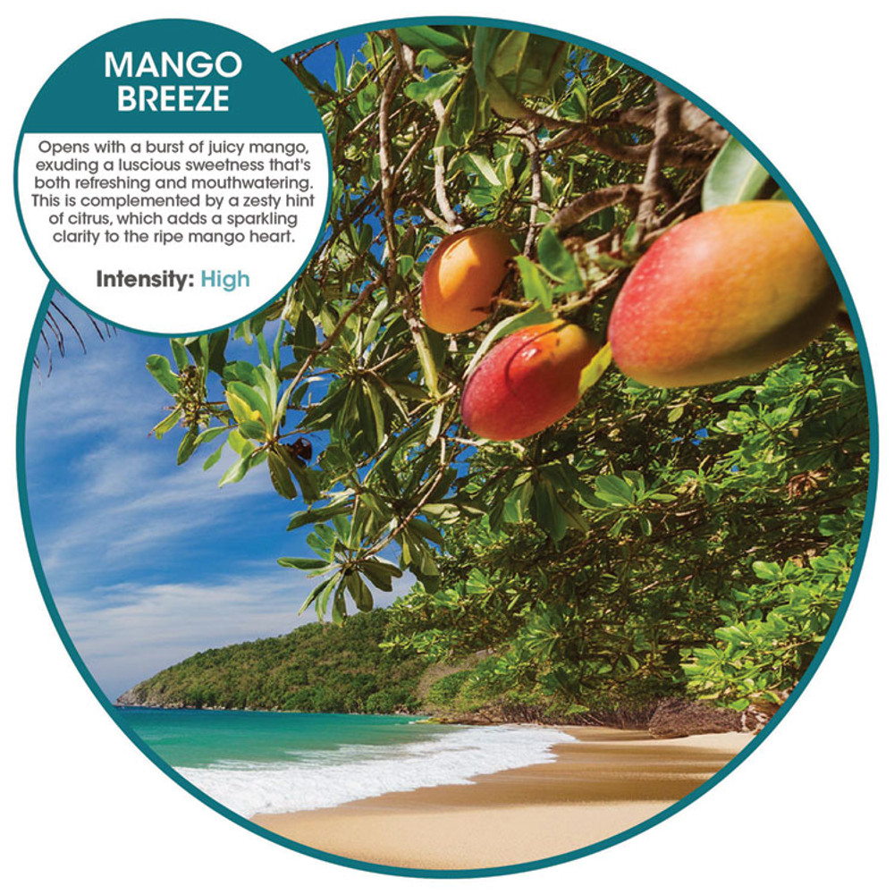 FRESH PRODUCTS MA12MG Fusion Metered Aerosols, Mango Breeze, 12/Carton