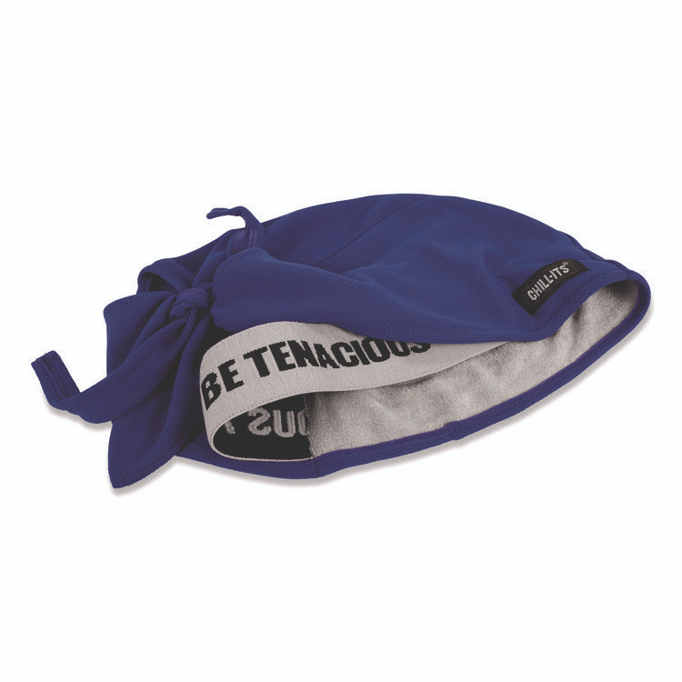 TENACIOUS HOLDINGS, INC. ergodyne® 12481 Chill-Its 6615 High-Performance Bandana Doo Rag with Terry Cloth Sweatband, One Size Fits Most, Blue